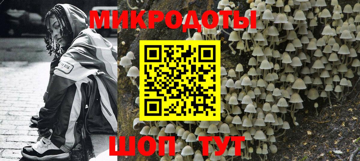 Галлюциногенные грибы GOLDEN TEACHER  Вход с VPN  Ульяновск 